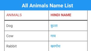Read more about the article All Animals in English with Hindi Meaning | जानवरों के नाम