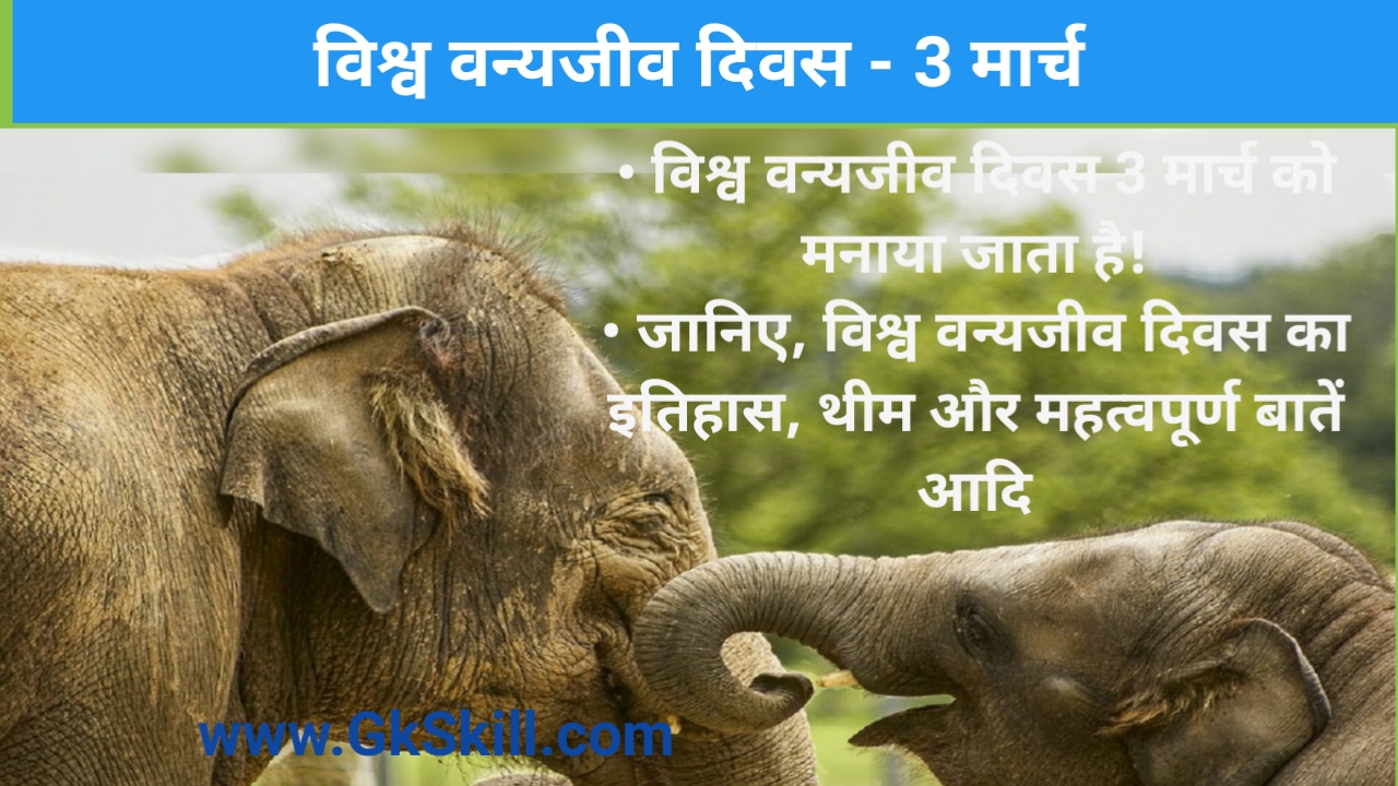 Read more about the article World Wildlife Day 2022 in Hindi | विश्व वन्यजीव दिवस की थीम, शुरूआत और महत्‍वपूर्ण बातें