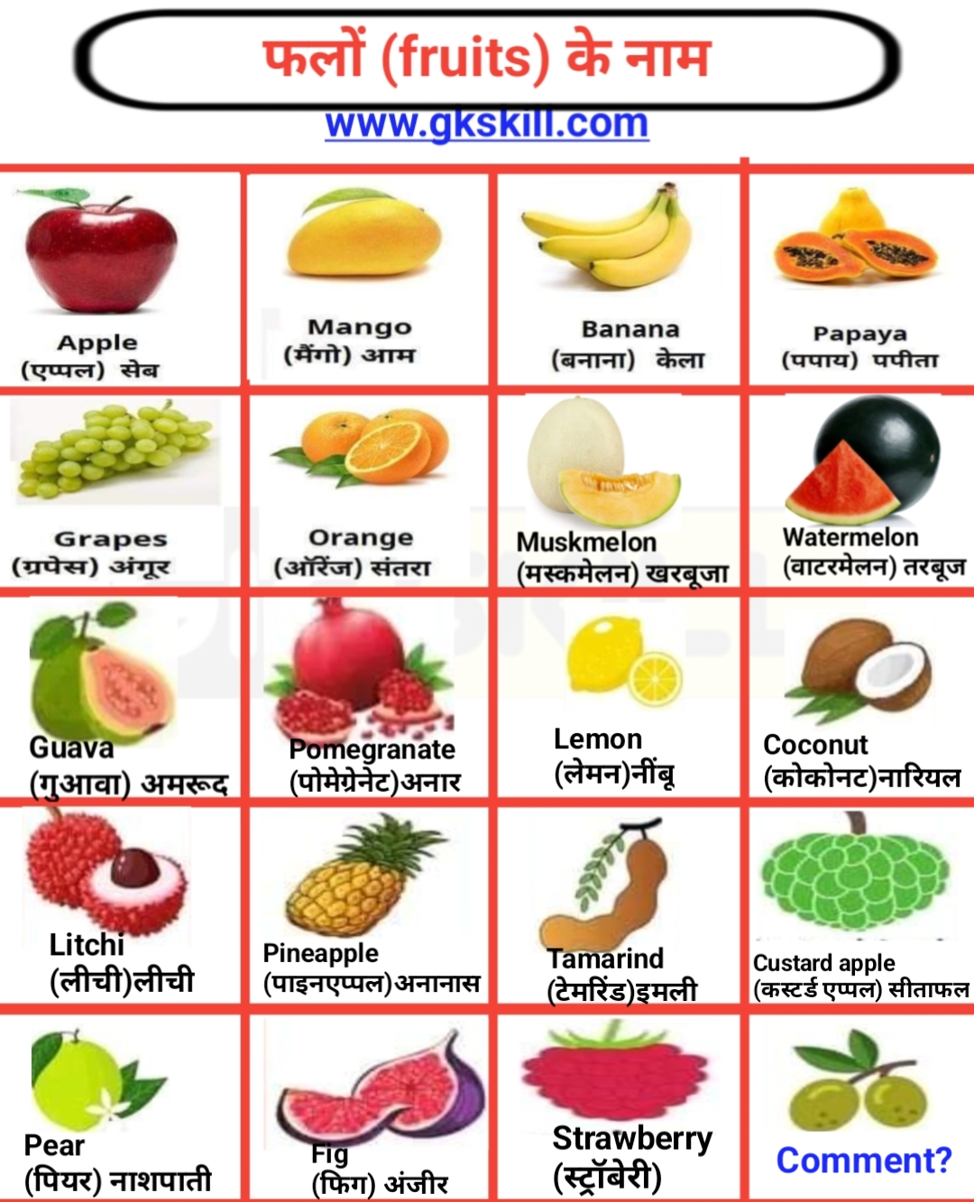 You are currently viewing List of Fruits Name with Hindi Meaning | फलोंं का नाम