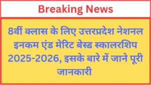 Read more about the article Uttar Pradesh National Income and Merit Based Scholarship Scheme UP NMMS 2025-2026 Apply Online for Class 8th